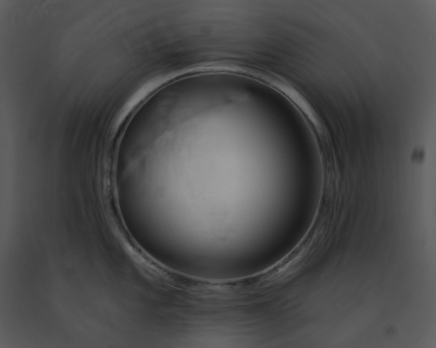 X0000091511101200708311222