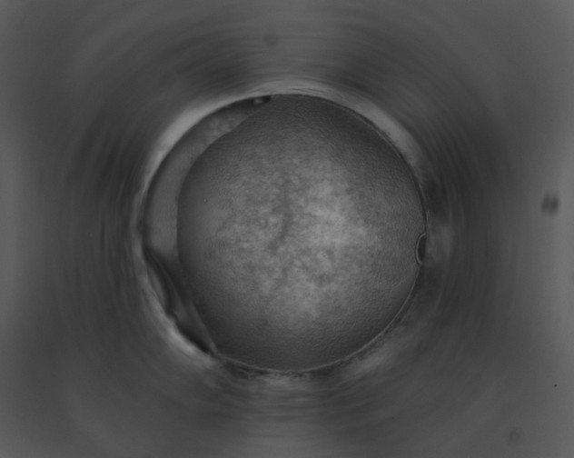 X0000091511102200708311222