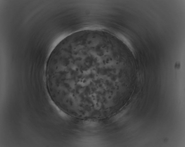 X0000091511103200708311222