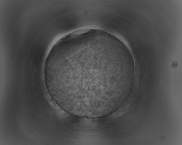 X0000091511104200708311222