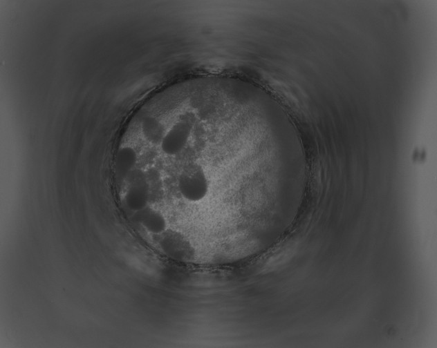 X0000091511105200708311221