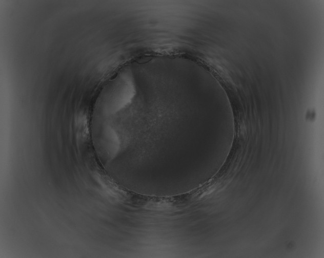 X0000091511106200708311221