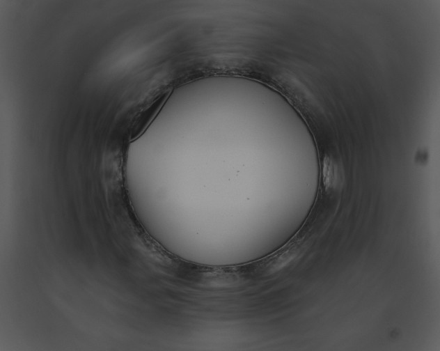 X0000091511107200708311221