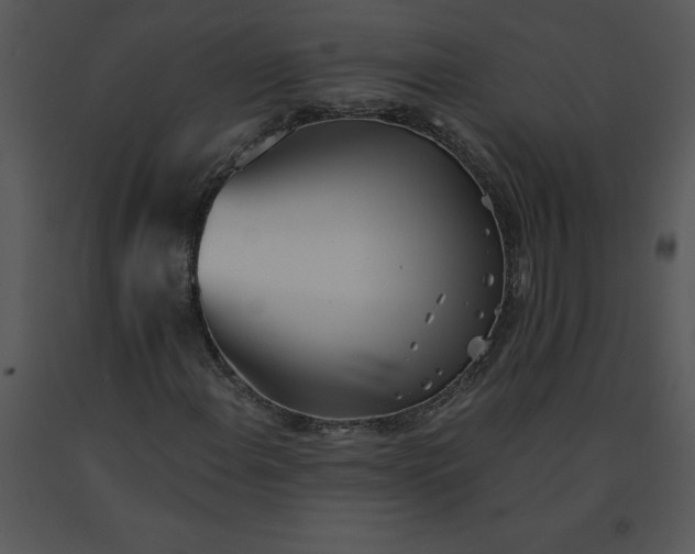 X0000091511108200708311221