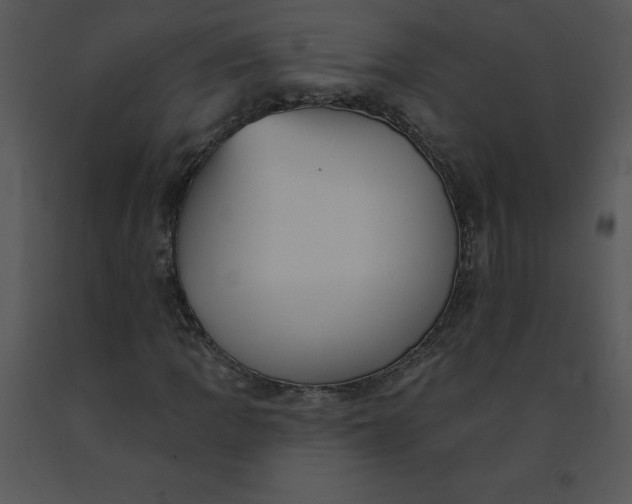 X0000091511109200708311221