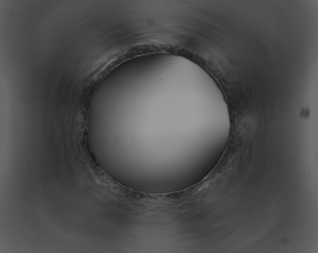 X0000091511110200708311221