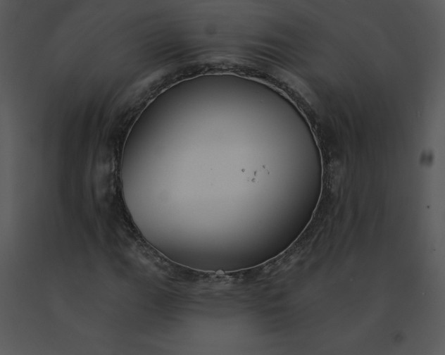 X0000091511111200708311221