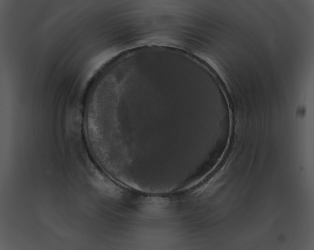 X0000091511115200708311221