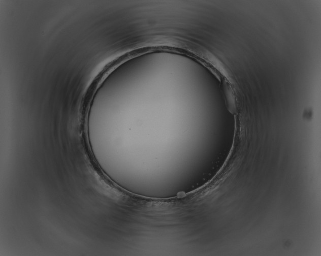 X0000091511116200708311221