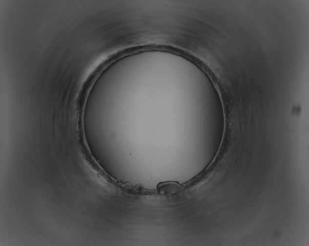 X0000091511118200708311221