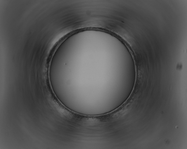 X0000091511119200708311221