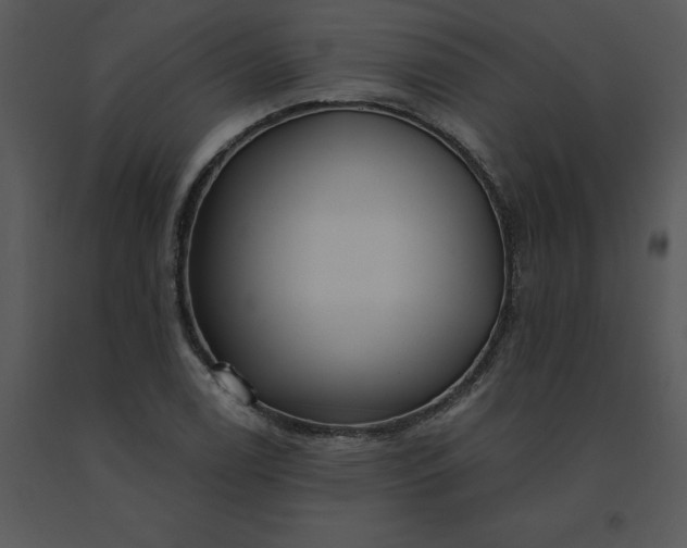 X0000091511122200708311221