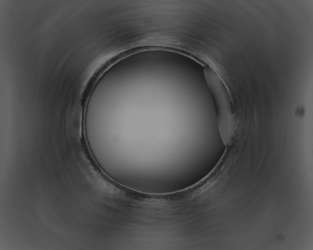 X0000091511123200708311221