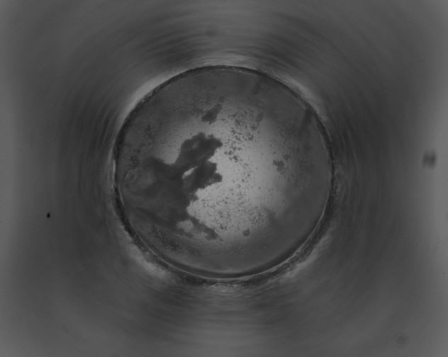 X0000091511125200708311221