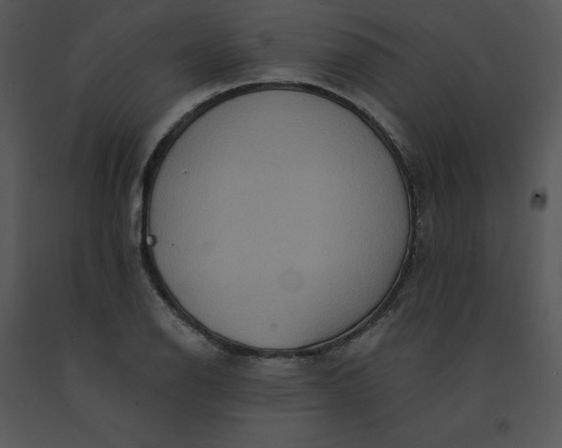 X0000091511126200708311221