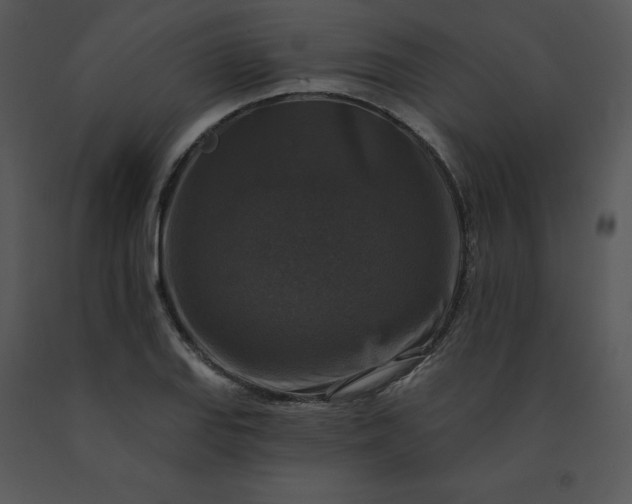 X0000091511127200708311221