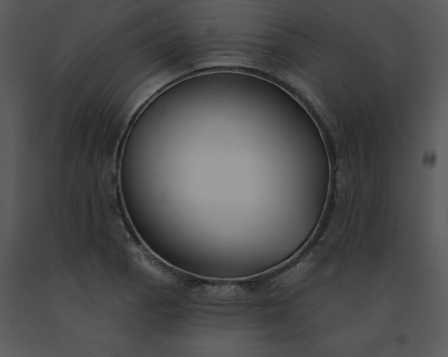 X0000091511129200708311221