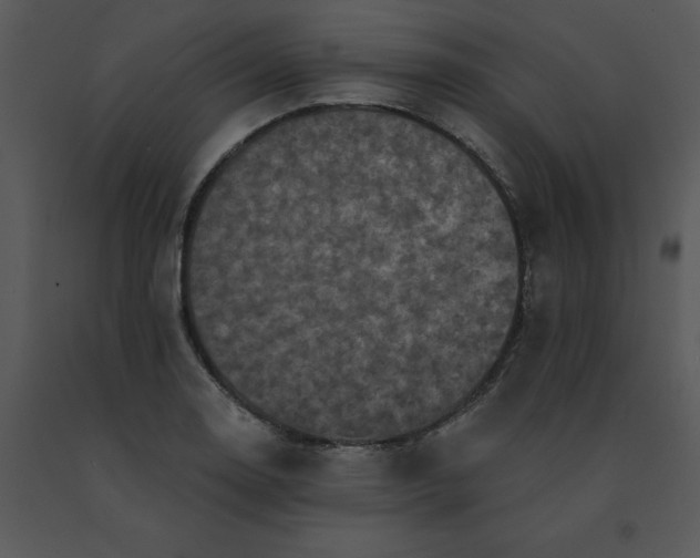 X0000091511130200708311221