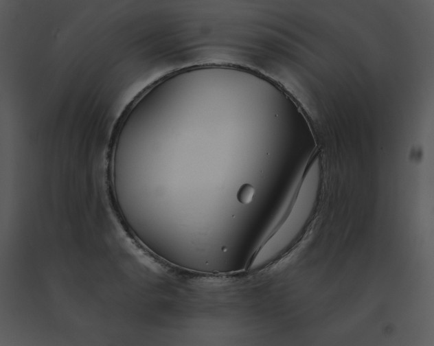 X0000091511134200708311221