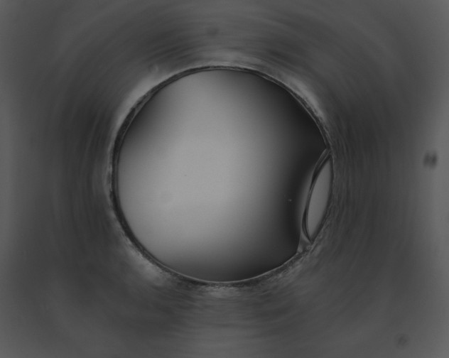 X0000091511136200708311222