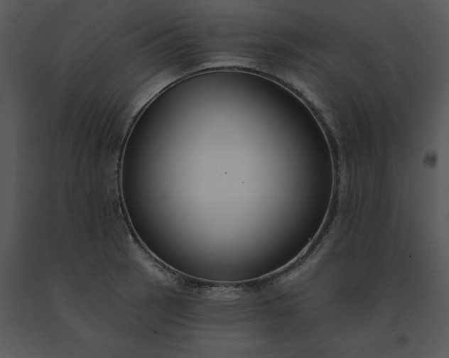 X0000091511137200708311222