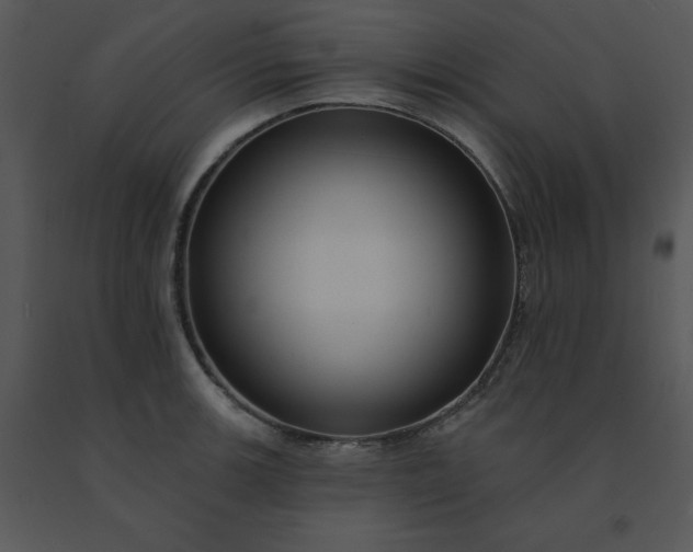 X0000091511139200708311222