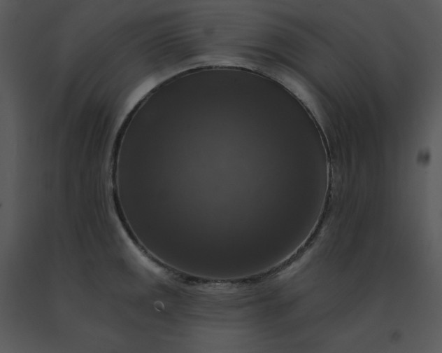 X0000091511141200708311222