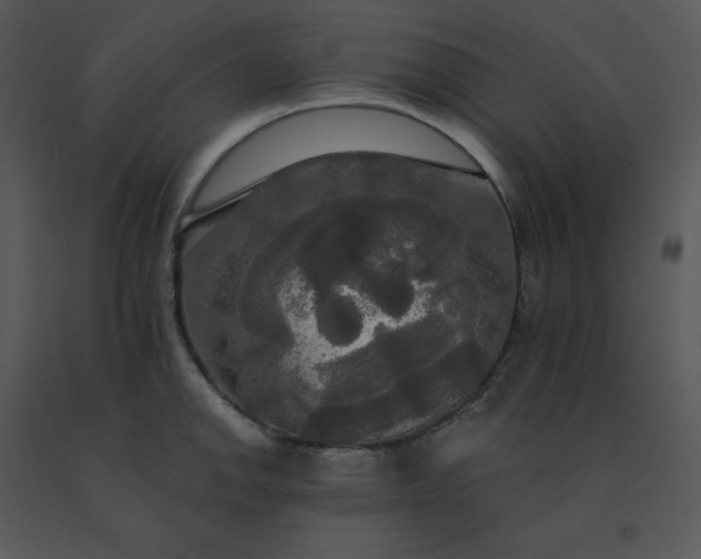 X0000091511142200708311222