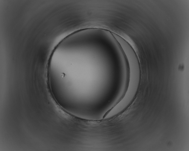 X0000091511144200708311222