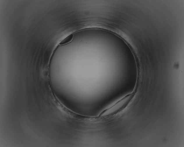 X0000091511145200708311222