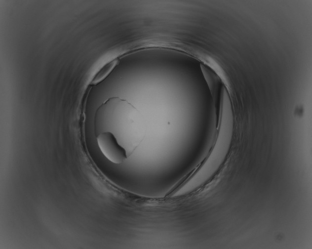 X0000091511146200708311222