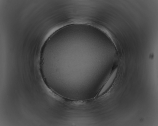 X0000091511147200708311222