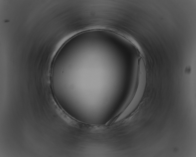 X0000091511148200708311222