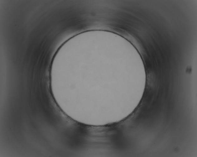 X0000091511150200708311222