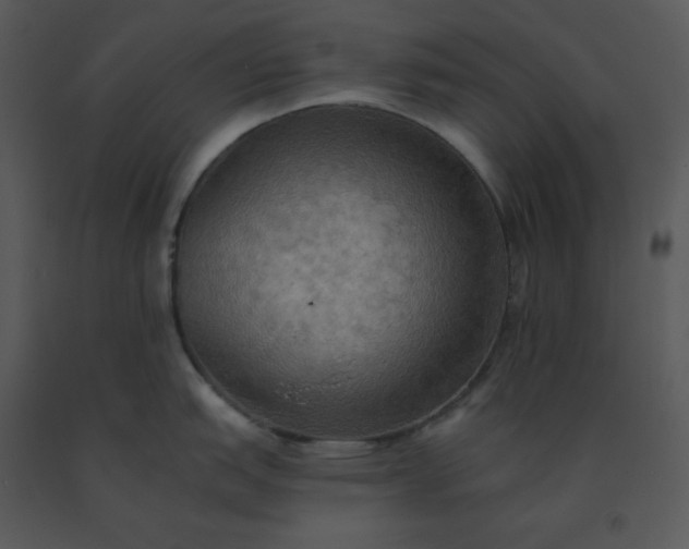 X0000091511151200708311222