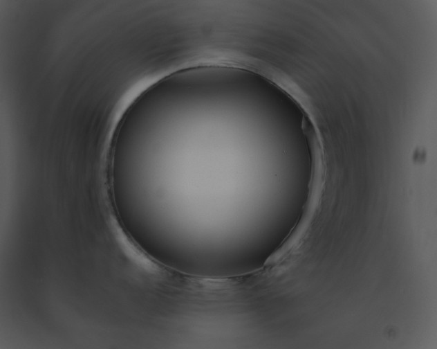 X0000091511152200708311222