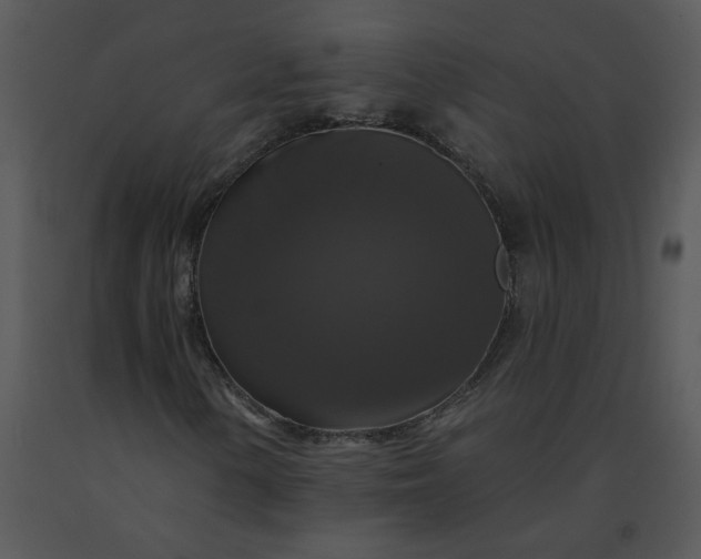 X0000091511154200708311221