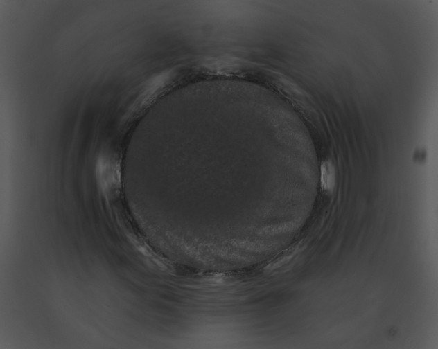 X0000091511155200708311221