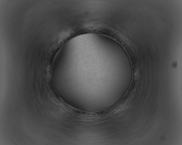 X0000091511156200708311221