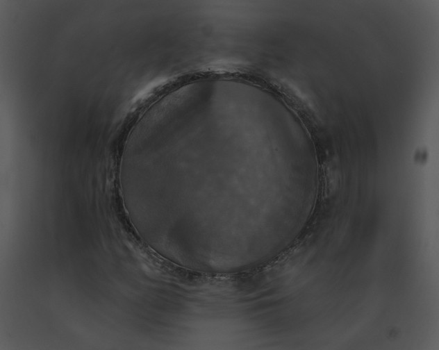 X0000091511158200708311221