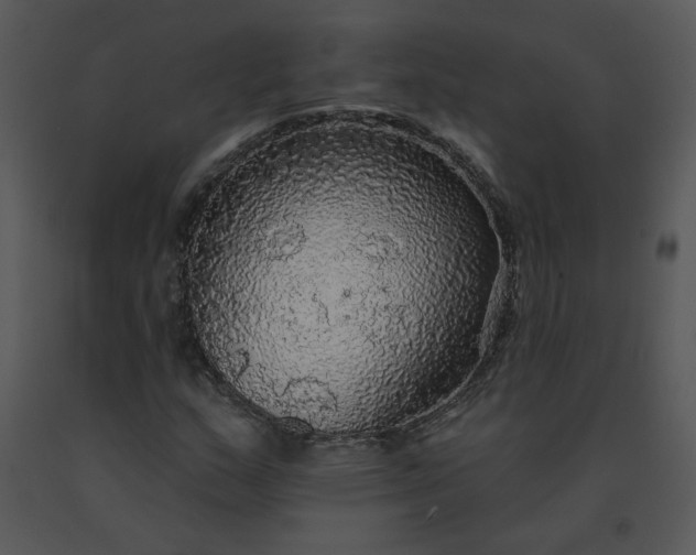 X0000091511159200708311221