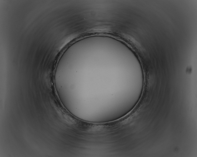 X0000091511162200708311221