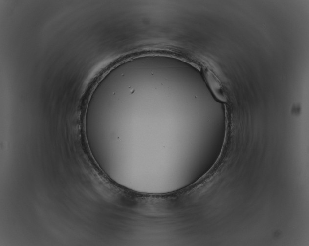 X0000091511164200708311221