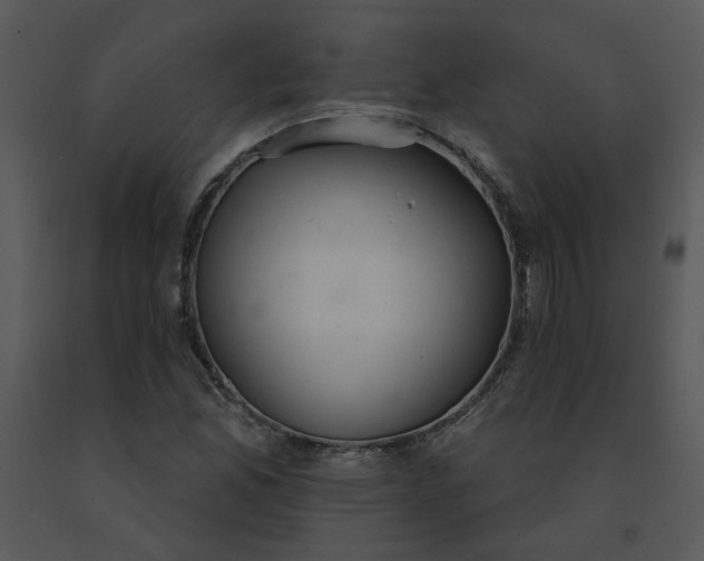 X0000091511165200708311221