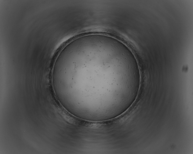 X0000091511166200708311221