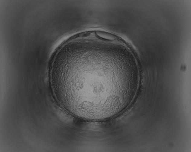 X0000091511167200708311221