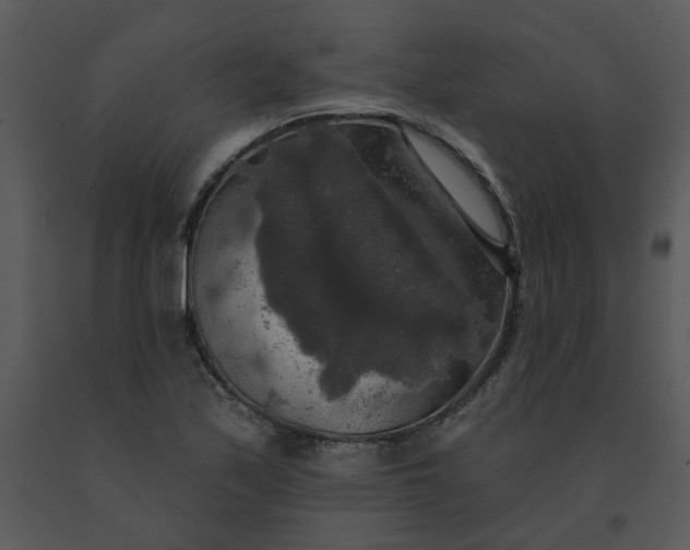 X0000091511171200708311221