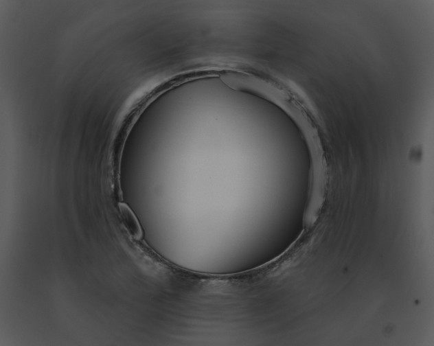 X0000091511172200708311221