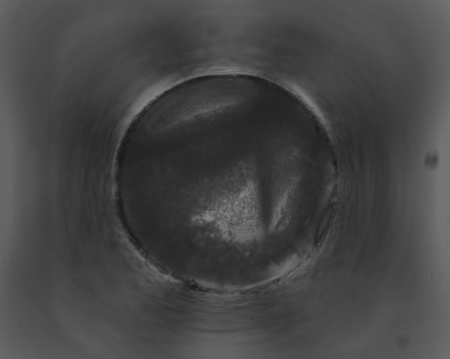 X0000091511173200708311221