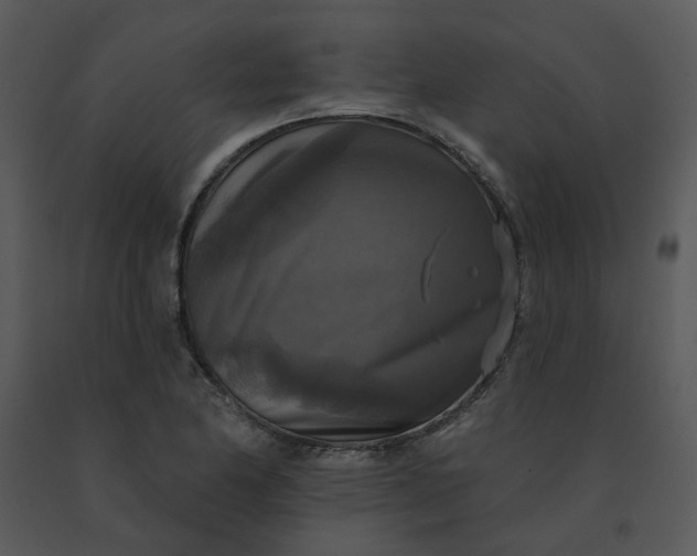 X0000091511174200708311221